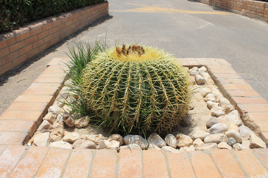 Urlaub 2014 - Ägypten